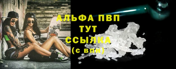 спиды Ростов