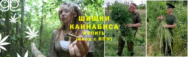 кокаин премиум Дубовка