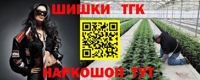 крисы Дубна