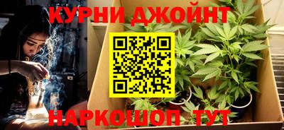 крисы Дубна