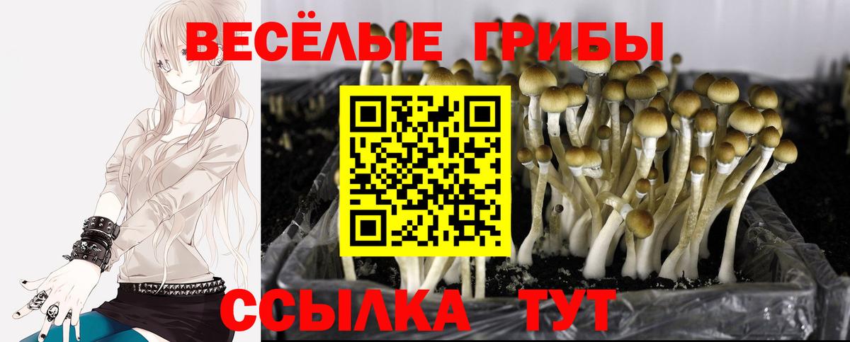 Среднеуральск  Галлюциногенные грибы MAGIC MUSHROOMS  Вход с VPN 